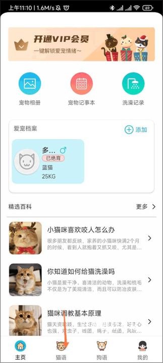 猫语交流翻译器完整版下载_https://www.jisuanqiwang.com_生活实用_第5张